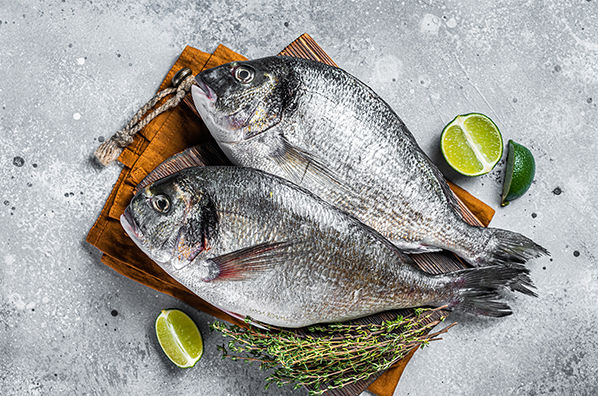 Black Bream