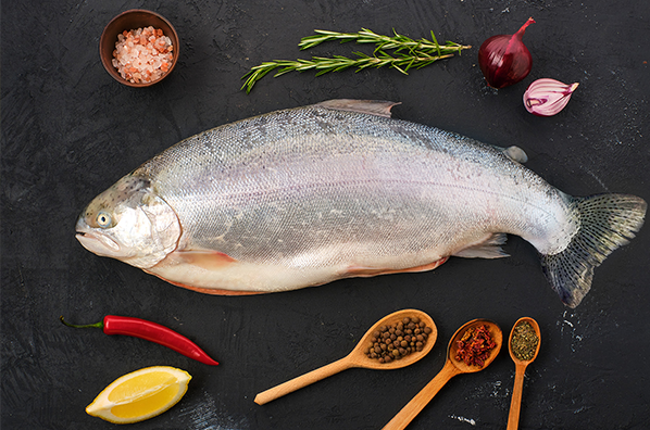 tasmania salmon